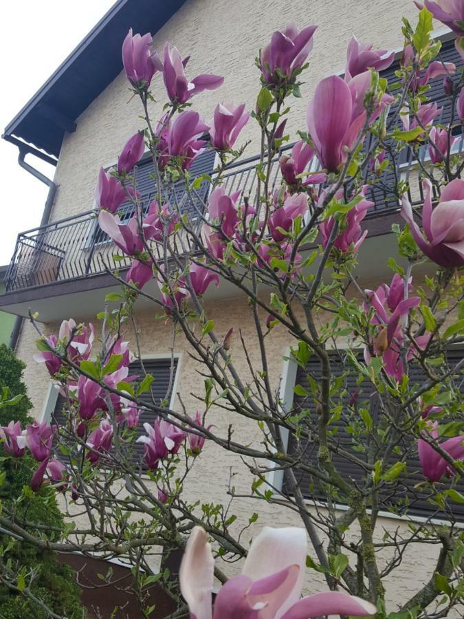 Apartmani Grlice II Varaždin 外观 照片